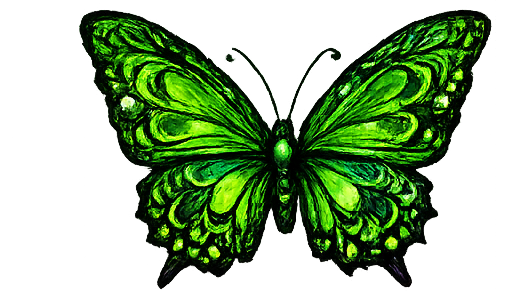 Green Butterfly